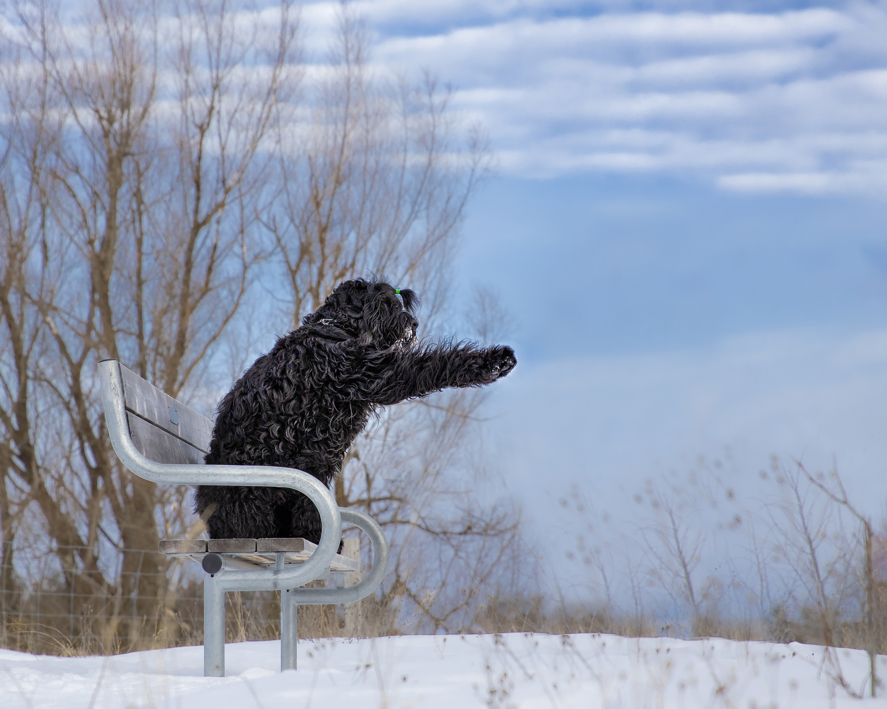 Slideshow sample 18